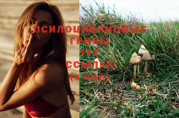 метадон Бердск